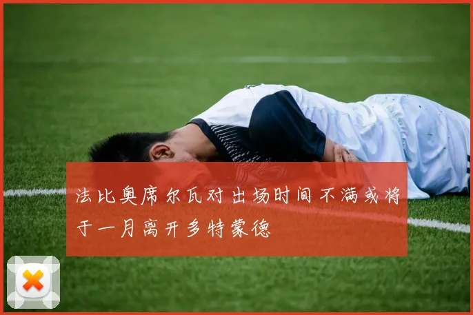 法比奥席尔瓦对出场时间不满或将于一月离开多特蒙德