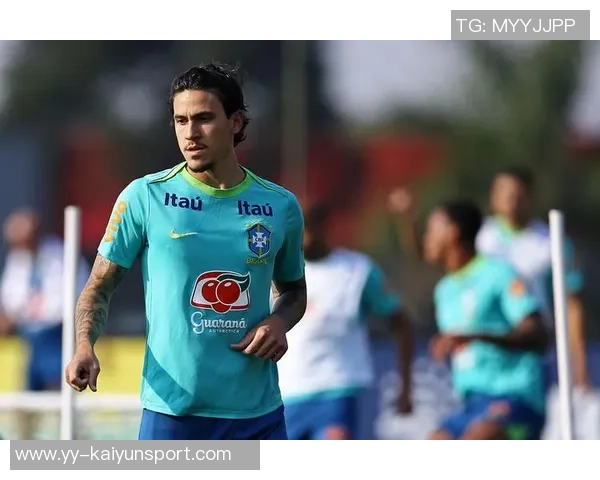 佩德罗内托与佩德罗贡萨尔维斯因伤缺席葡萄牙国家队大名单调整